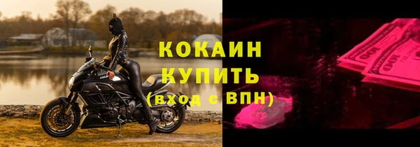 стафф Алзамай