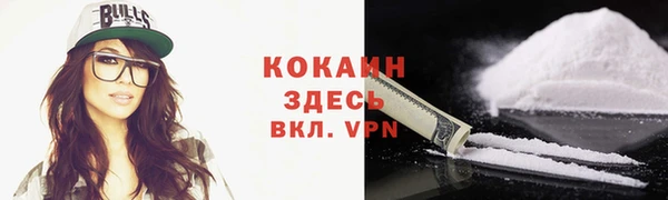 стафф Алзамай