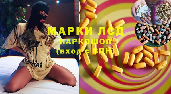 стафф Алзамай