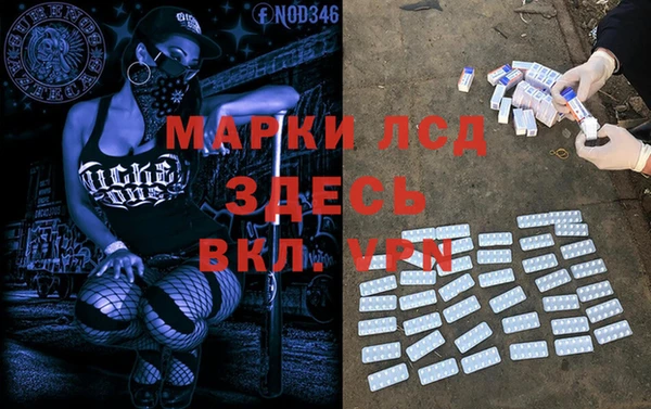 шишки Алексин