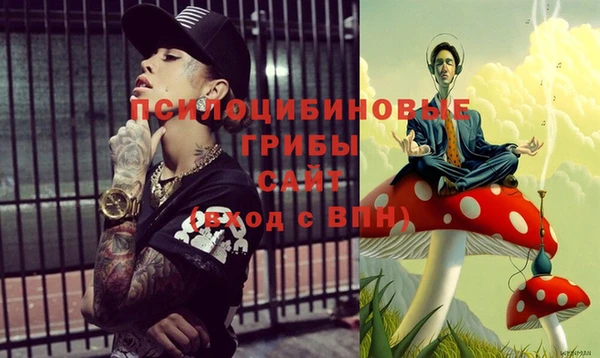 шишки Алексин