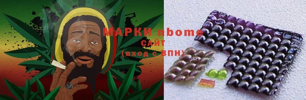 стафф Алзамай
