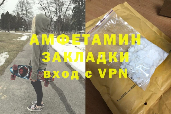 шишки Алексин